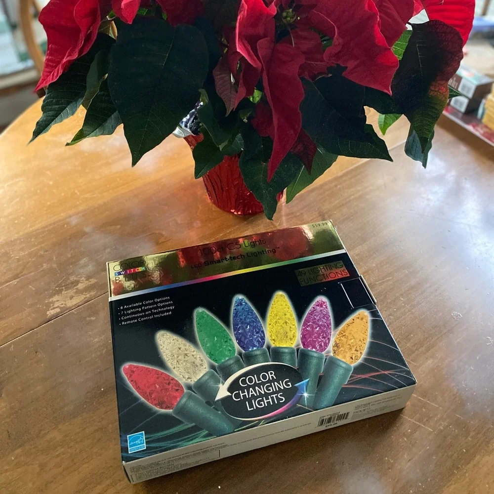 New in Box Christmas lights